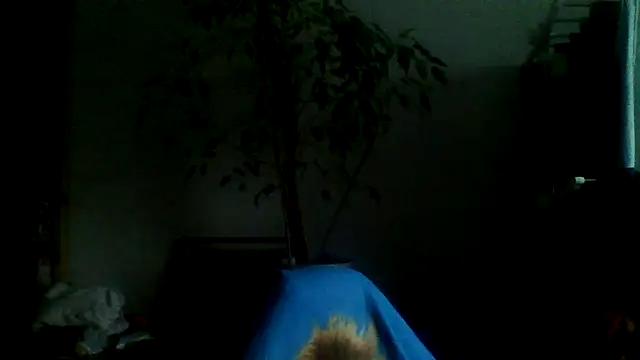 Snapshot of Macknow chatting on October 14, 6:14 am Macknow online show from October 14, 6:14 am