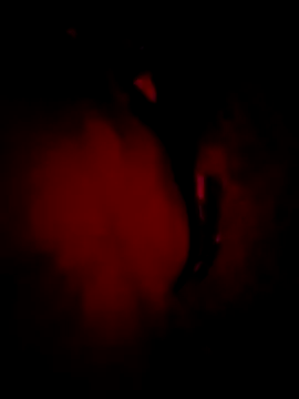 Snapshot of MoonQxX chatting on January 9, 5:26 pm MoonQxX online show from January 9, 5:26 pm