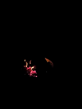 Snapshot of Floridaboy863 chatting on February 5, 3:33 am Floridaboy863 online show from February 5, 3:33 am