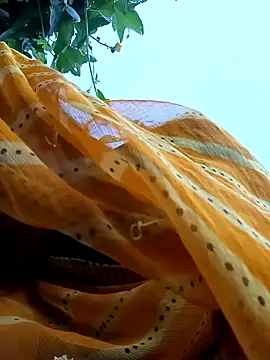 Cutsedi3 online show from October 18, 11:33 am