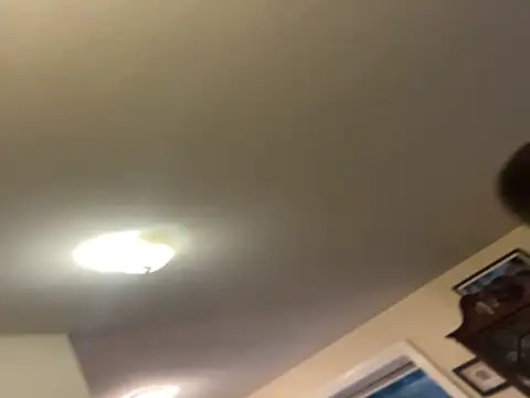 custardnmypie online show from November 10, 12:09 am