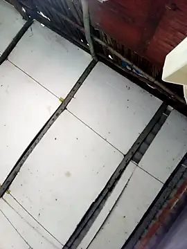 Cherry pusy99 online show from October 27, 12:04 am