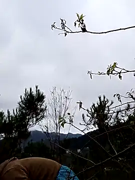 Snapshot of siusiu-00 chatting on November 19, 12:54 am siusiu-00 online show from November 19, 12:54 am