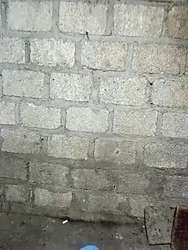 Snapshot of siusiu-00 chatting on November 21, 7:56 pm siusiu-00 online show from November 21, 7:56 pm