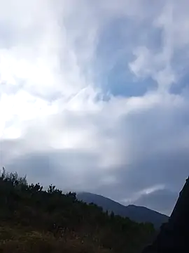 Snapshot of siusiu-00 chatting on November 22, 8:24 am siusiu-00 online show from November 22, 8:24 am