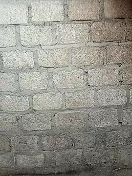 siusiu-00 online show from February 19, 9:16 am