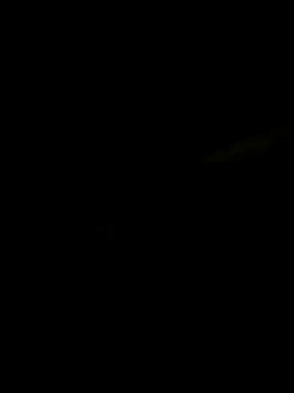Snapshot of dadou85h chatting on May 12, 11:24 pm dadou85h online show from May 12, 11:24 pm