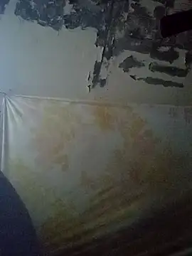 Cogelonregio online show from October 27, 11:41 pm