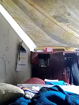 Cogelonregio online show from November 14, 1:59 am