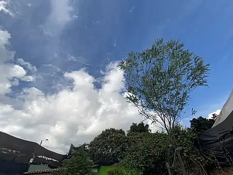 moon2 1  online show from December 4, 7:55 pm