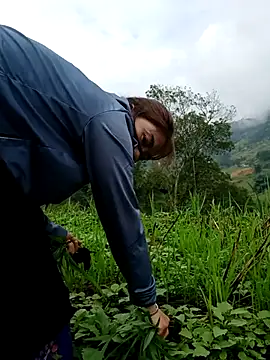 omai-ngot online show from October 26, 1:22 am