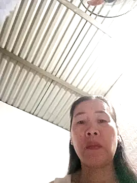 tabby-cat11 online show from November 3, 1:51 am