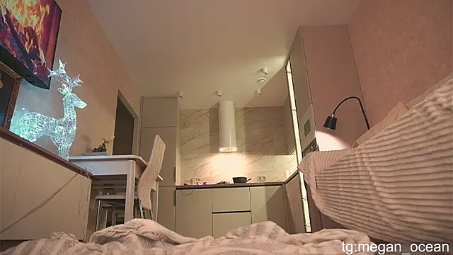 Snapshot of Megan_galactica chatting on November 30, 4:11 pm Megan galactica online show from November 30, 4:11 pm