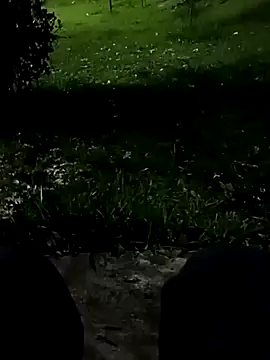 roludao fun online show from November 10, 10:42 pm