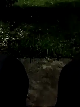 roludao fun online show from November 11, 10:54 pm