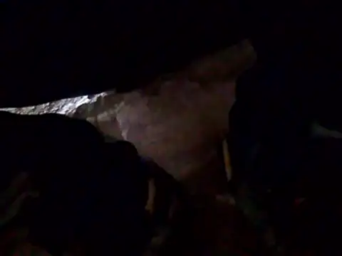 Orlao25cm online show from March 27, 9:36 pm