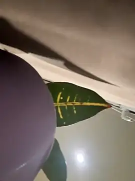 Snapshot of Amelia-Diamond chatting on November 28, 8:22 pm Amelia-Diamond online show from November 28, 8:22 pm