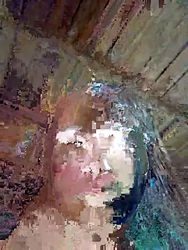 Snapshot of Squirrel-Pear chatting on November 8, 1:00 pm Squirrel-Pear online show from November 8, 1:00 pm