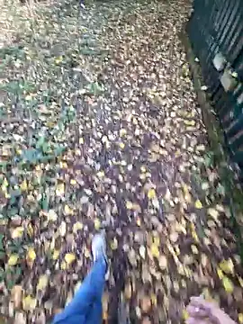 bbyxklaus online show from November 4, 10:36 am