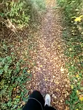 bbyxklaus online show from November 9, 10:57 am