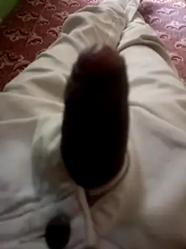 kumarstelugu online show from December 19, 6:31 am