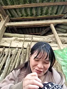 Snapshot of chipu06 chatting on November 15, 3:37 am chipu06 online show from November 15, 3:37 am