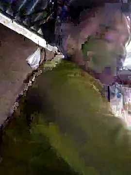 chipu06 online show from December 19, 4:30 am