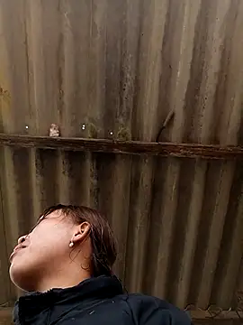 sowbibi online show from February 8, 5:11 am