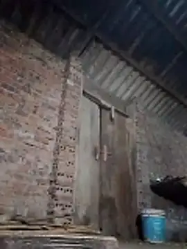  LAN  online show from March 26, 9:53 pm