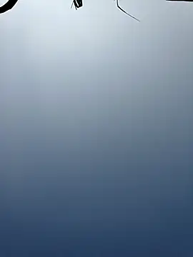 Snapshot of Menu_x chatting on January 13, 8:08 am Menu x online show from January 13, 8:08 am