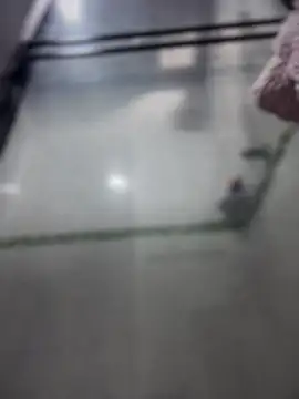 Snapshot of Violeet-Smith chatting on March 27, 2:50 pm Violeet-Smith online show from March 27, 2:50 pm