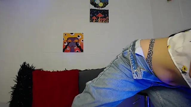 Snapshot of _IR1S_ chatting on November 28, 8:22 pm IR1S online show from November 28, 8:22 pm