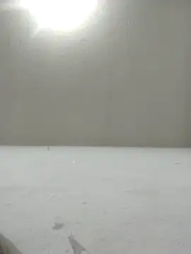 Chicattoo69 online show from December 2, 1:55 am