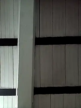 sflps online show from April 2, 5:05 am