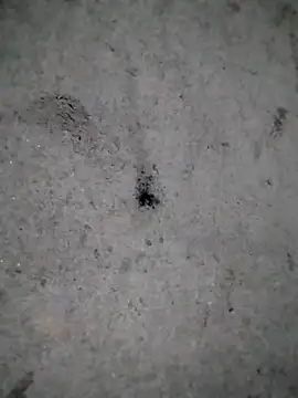 rickkis2k online show from December 21, 11:01 pm