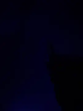 alfarabisami online show from June 10, 9:03 pm