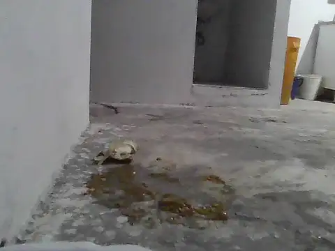 jupiter 333 online show from January 8, 7:21 am