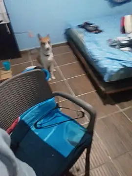 666Daemon666 online show from January 17, 5:12 am