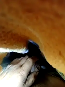 Snapshot of juanpi202535 chatting on November 11, 2:55 am juanpi202535 online show from November 11, 2:55 am