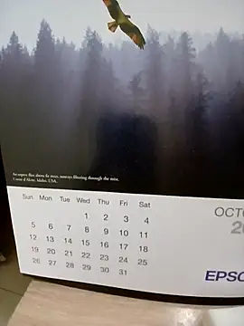 Snapshot of Kolkatacock06 chatting on October 24, 2:02 pm Kolkatacock06 online show from October 24, 2:02 pm