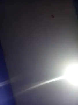 HSexy Men00 online show from November 26, 8:59 am