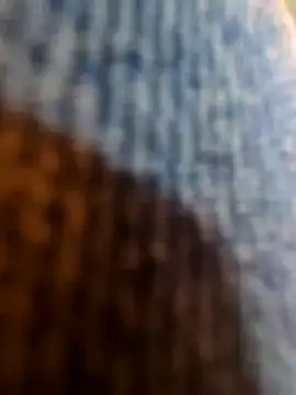 vivodan online show from November 4, 1:21 pm