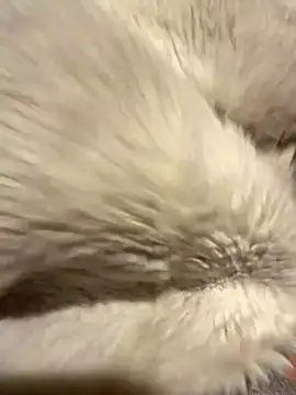 Snapshot of Jackoff2345 chatting on October 26, 3:34 am Jackoff2345 online show from October 26, 3:34 am