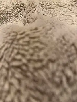 Snapshot of Jackoff2345 chatting on February 18, 5:25 am Jackoff2345 online show from February 18, 5:25 am