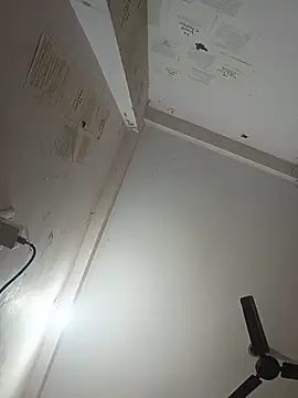 Snapshot of indoregigolo chatting on October 29, 3:03 pm indoregigolo online show from October 29, 3:03 pm