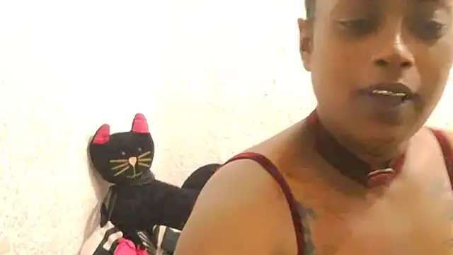 Snapshot of DOVE85 chatting on December 15, 11:47 am DOVE85 online show from December 15, 11:47 am