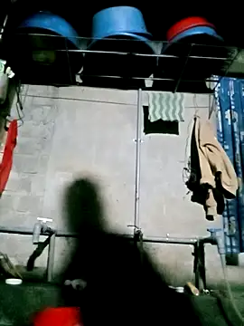 Noelle-e online show from March 17, 11:52 pm