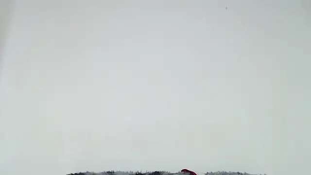 Mia fox29 online show from October 31, 1:01 pm