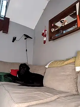 Snapshot of mattiethebaddieee chatting on November 30, 8:35 pm mattiethebaddieee online show from November 30, 8:35 pm