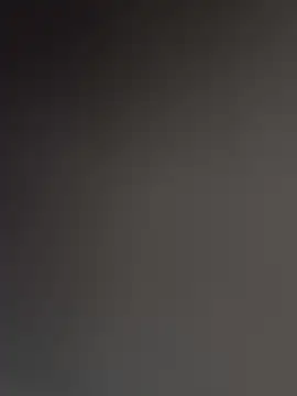 WildNour online show from November 16, 2:00 pm